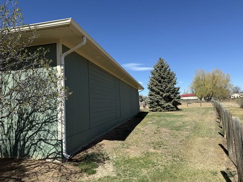 Exterior painting, sage green horizontal siding, white trim and downspout, outbuilding side, rural yard, Elements Painting project on the Colorado Front Range