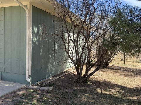 Exterior painting, sage green siding behind bare shrub, white downspout, outbuilding corner, Elements Painting project on the Colorado Front Range