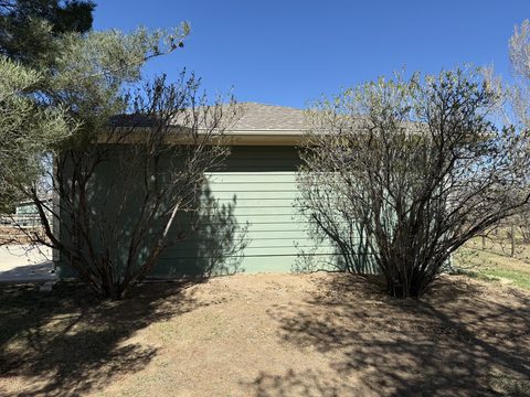 Exterior painting, sage green siding outbuilding wall behind bare shrubs, Elements Painting project on the Colorado Front Range