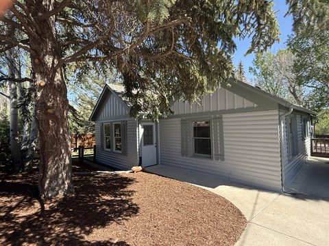 Exterior painting, light gray siding cottage, white door and trim, concrete driveway, pine tree, Elements Painting project on the Colorado Front Range