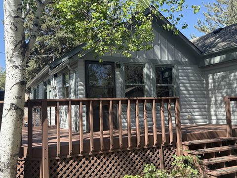 Exterior painting, gray siding house with brown stained deck railing under aspen tree, Elements Painting project on the Colorado Front Range