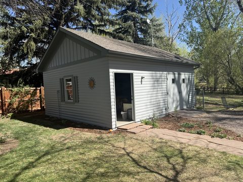 Exterior painting, gray siding shed with white trim, sun ornament, lawn, Elements Painting project on the Colorado Front Range
