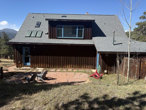 Exterior painting, rear of dark brown board-and-batten house, blue trim, skylights, flagstone patio, Elements Painting project on the Colorado Front Range