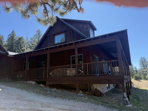 Exterior painting, dark brown lodge with deck, Elements Painting project on the Colorado Front Range