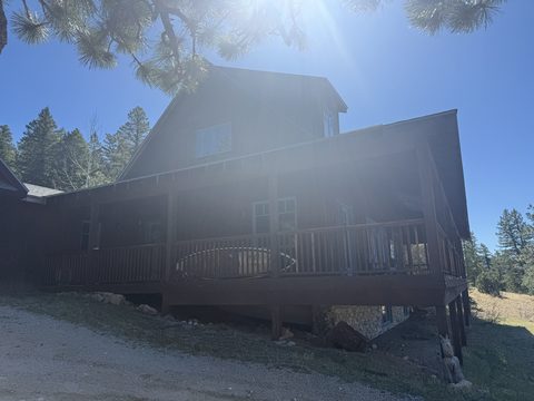 Exterior painting, dark brown lodge with deck, heavy sun glare, Elements Painting project on the Colorado Front Range