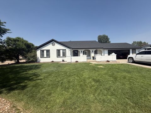 Exterior painting, white stucco ranch wide front view, lawn, Elements Painting project on the Colorado Front Range