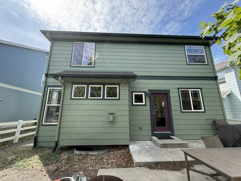 Exterior painting, rear elevation, sage-green siding, dark green trim, magenta door, concrete patio, Elements Painting project on the Colorado Front Range