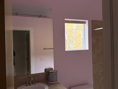 Interior painting, pale pink bathroom with mirror, Elements Painting project on the Colorado Front Range