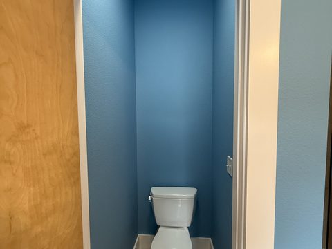 Interior painting, small light-blue toilet room, white trim, birch door, Elements Painting project on the Colorado Front Range
