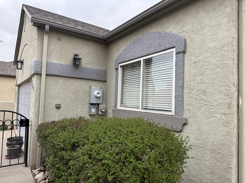 Exterior painting, tan stucco with grey trim band, arched window, hedge, Elements Painting project on the Colorado Front Range