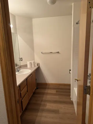 Hallway bathroom with white walls and wood-look floors, Elements Painting project on the Colorado Front Range