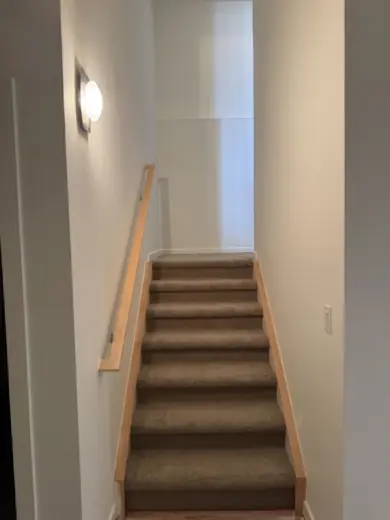 Stairwell with light gray walls and carpeted stairs, Elements Painting project on the Colorado Front Range