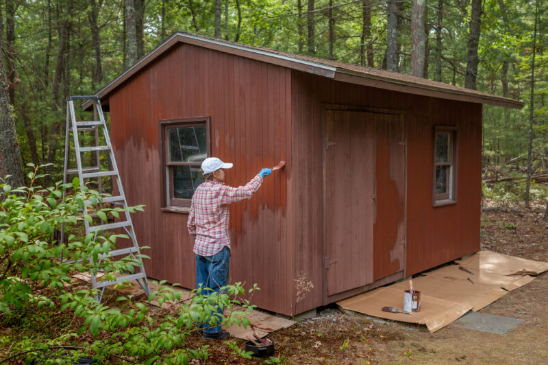 Middle aged woman painting shed