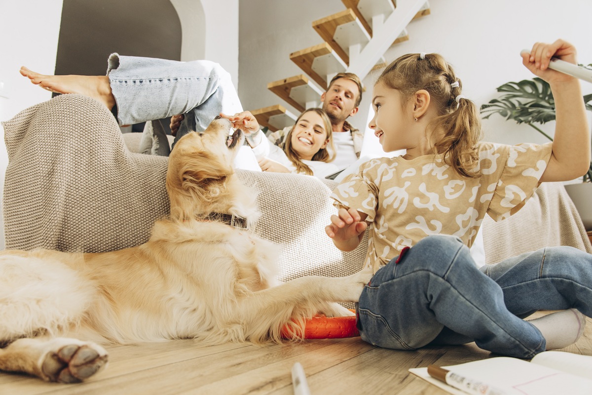 Portrait of smiling, beautiful girl playing with dog, golden retriever, sitting on the floor
